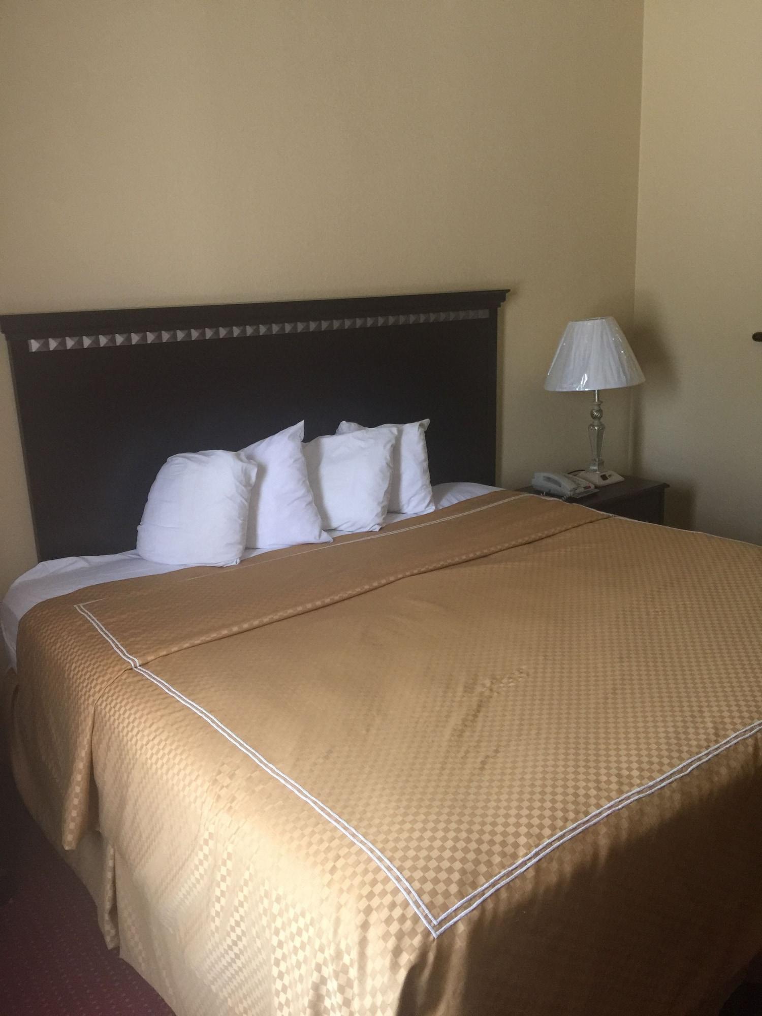Comfort Suites ラレド エクステリア 写真